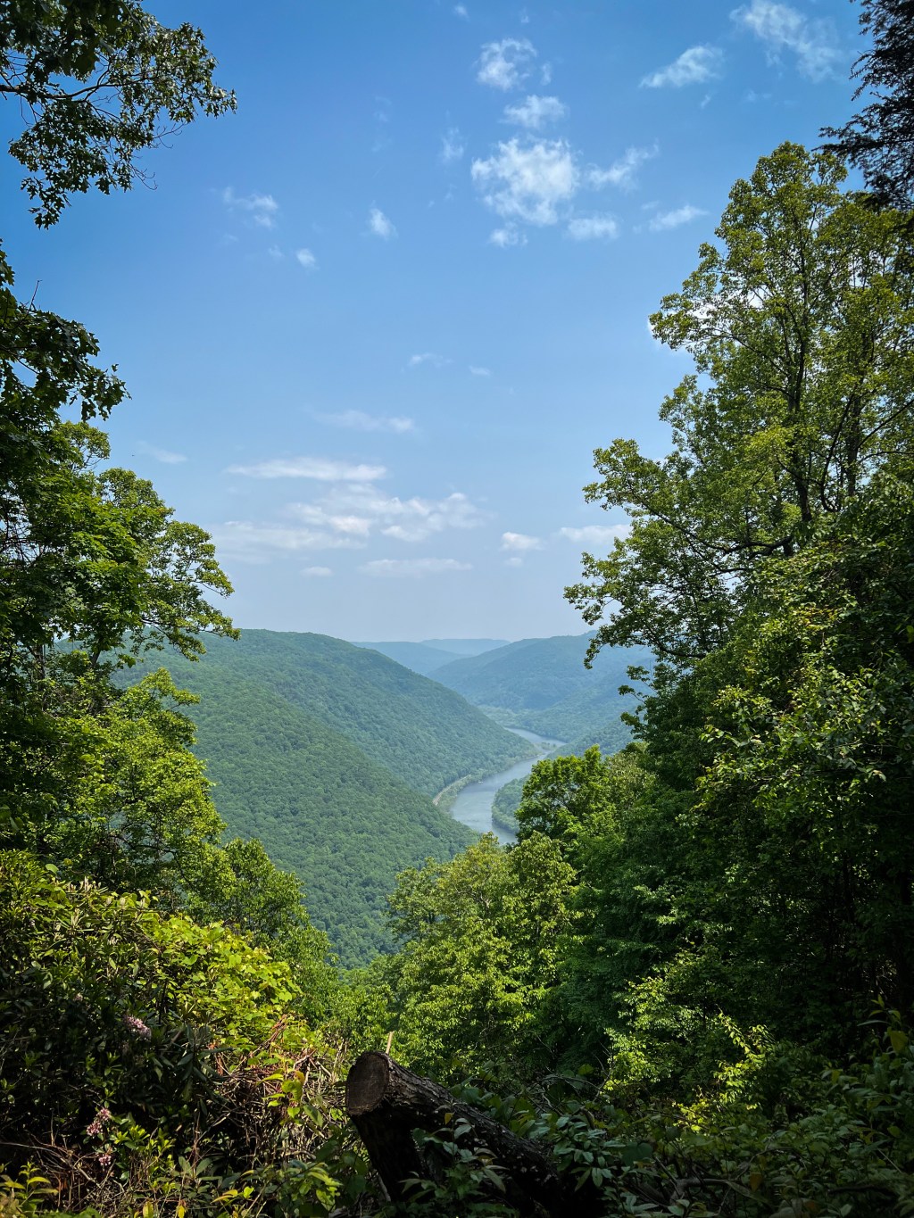 Dog-friendly Road Trip to Shenandoah, Congaree and New River Gorge National Parks –&nbsp;2023