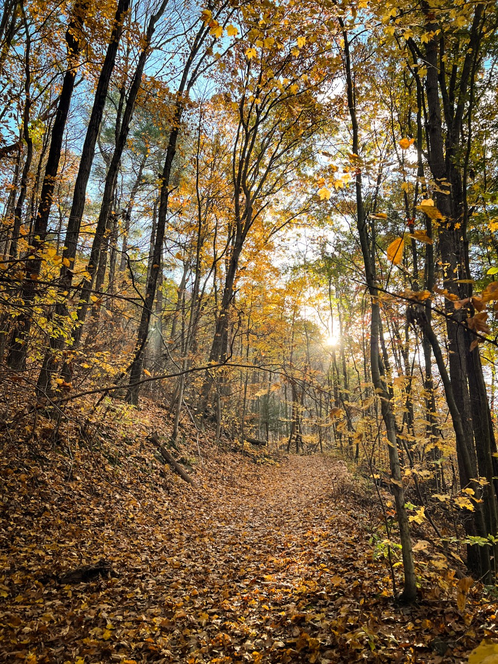 Wantastiquet Natural Area Summit Trail – New&nbsp;Hampshire