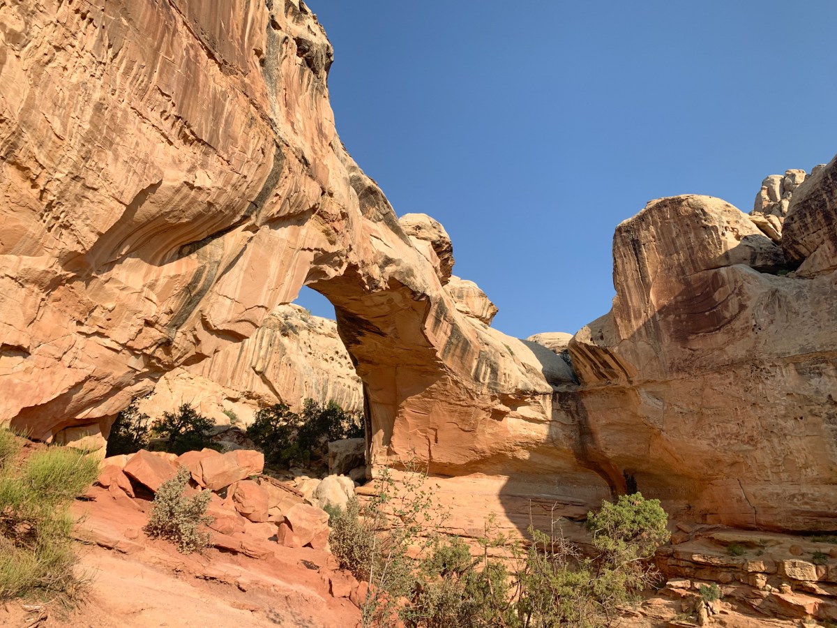 Capitol Reef National Park&nbsp;Guide