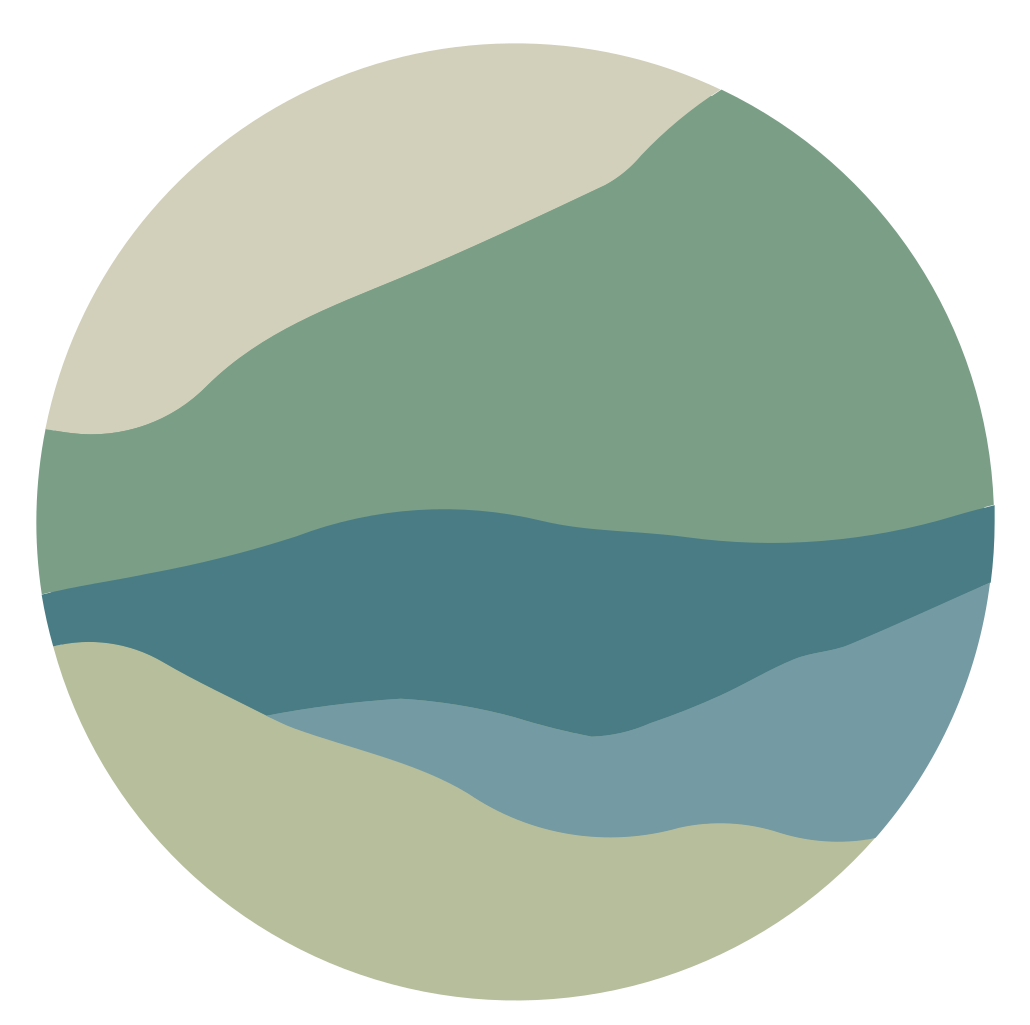 The Adventures of Suze